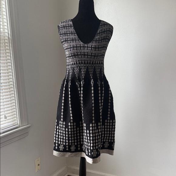 Max Studio Dresses & Skirts - Max Studio Black & White Sleeveless Fit & Flare Dress XS V-Neck Patterned